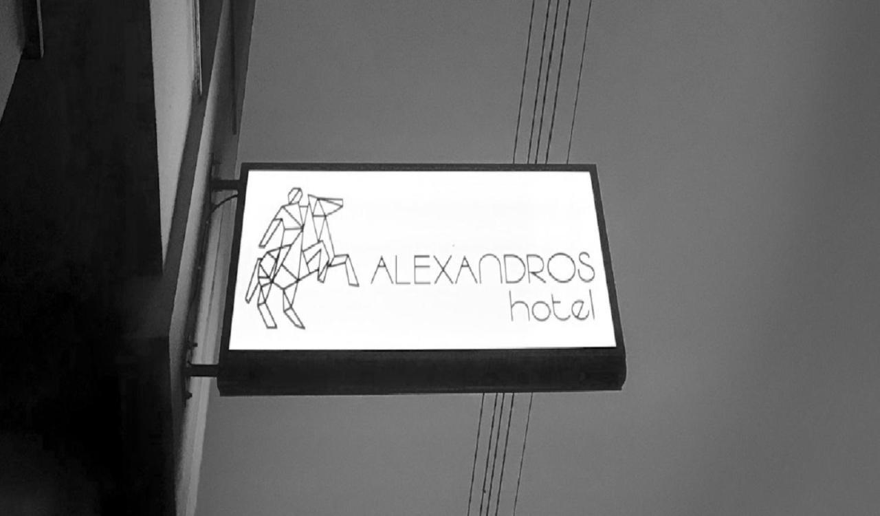 Αλέξανδρος Ξενοδοχείο Γιαννιτσά Εξωτερικό φωτογραφία